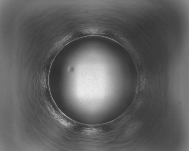 X0000086110453200703231506