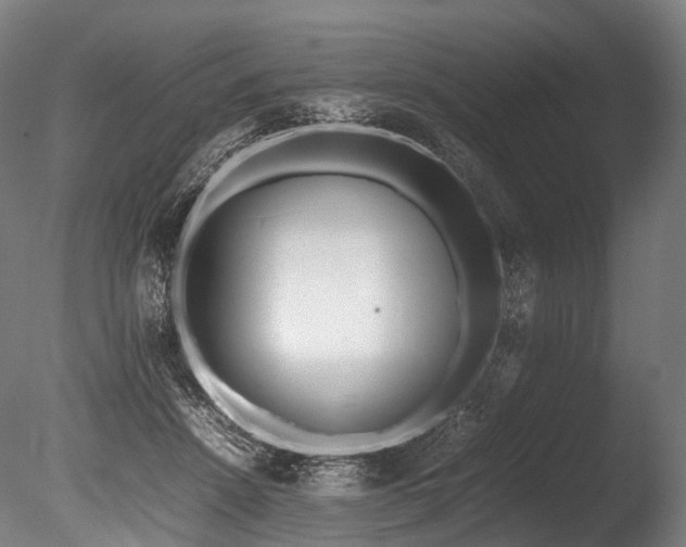X0000086110456200703231506