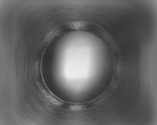 X0000086110461200703231506