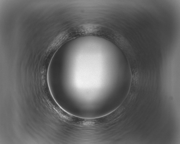 X0000086110462200703231506