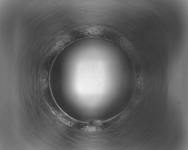 X0000086110464200703231506