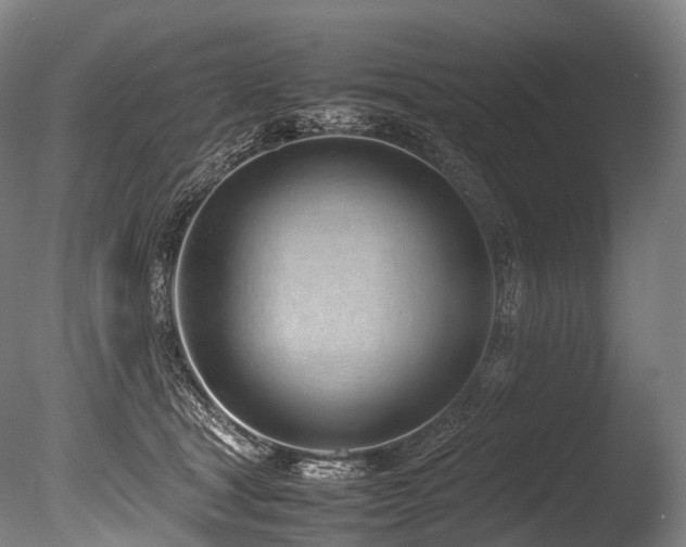 X0000086110465200703231506