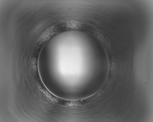 X0000086110466200703231506