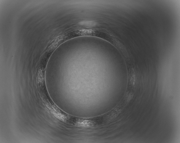 X0000086110467200703231506
