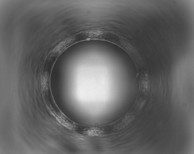 X0000086110468200703231506