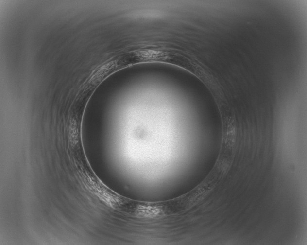 X0000086110469200703231506