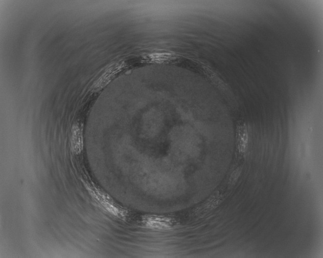 X0000086110471200703231506