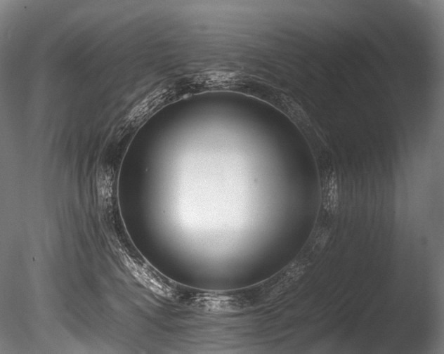 X0000086110472200703231506