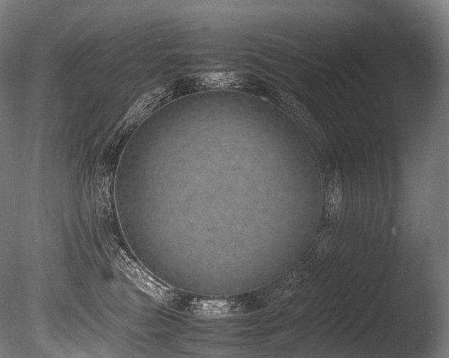 X0000086110473200703231506
