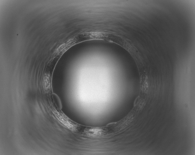X0000086110478200703231506