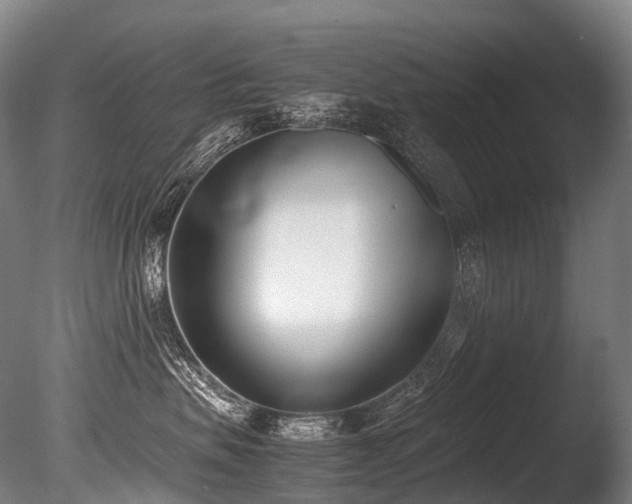 X0000086110479200703231506