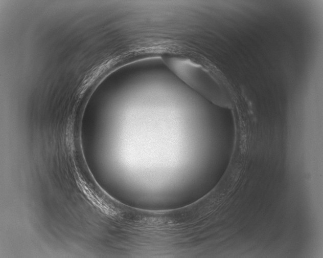 X0000086110482200703231505