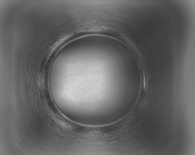 X0000086110483200703231505