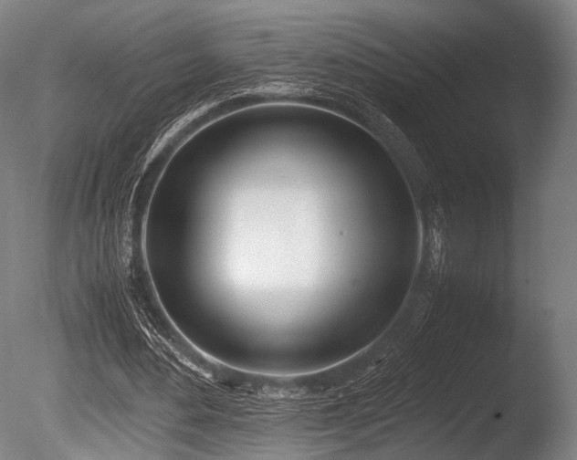 X0000086110484200703231505