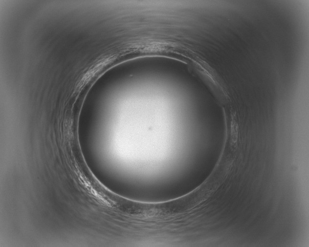 X0000086110485200703231505