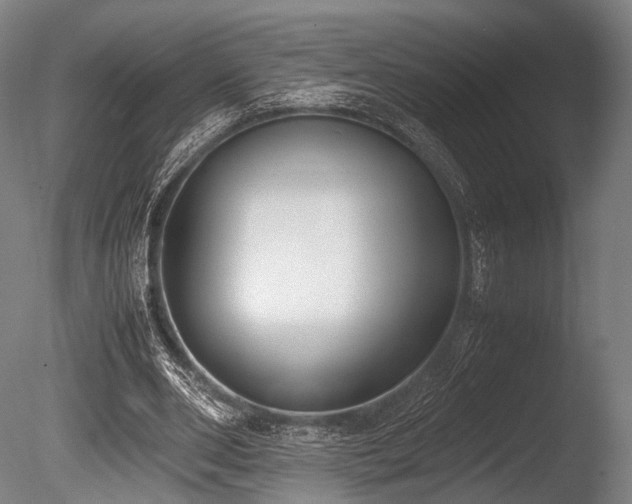 X0000086110486200703231505