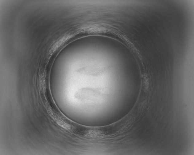 X0000086110487200703231505