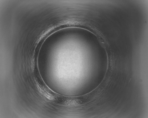 X0000086110488200703231505