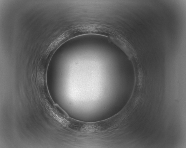 X0000086110489200703231505