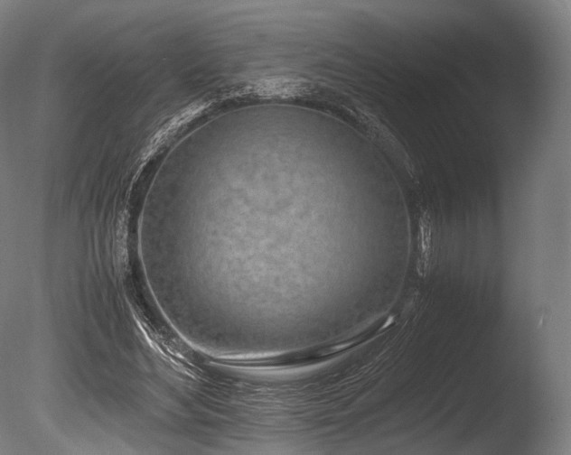 X0000086110492200703231505