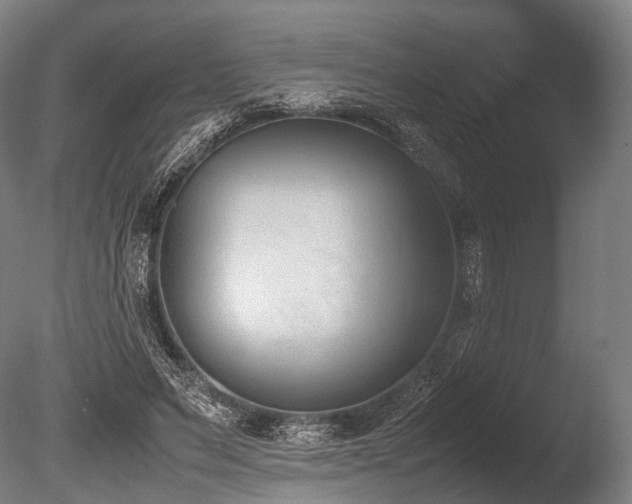 X0000086110495200703231505