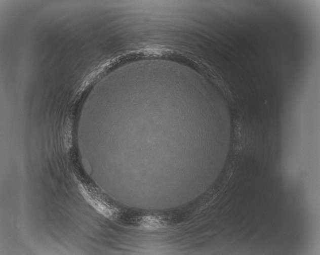 X0000086110496200703231505