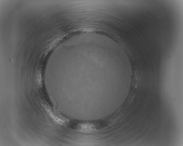 X0000086110500200703231505