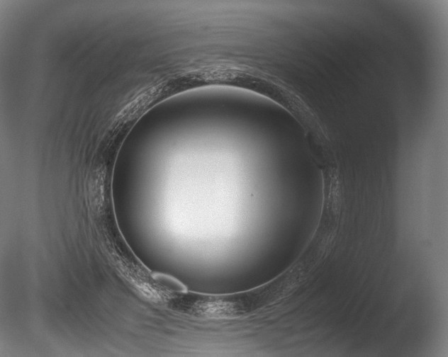 X0000086110501200703231505