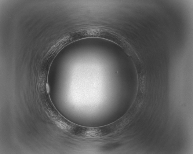 X0000086110505200703231505