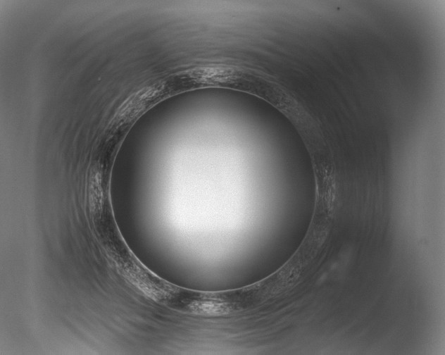 X0000086110506200703231505