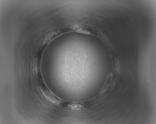 X0000086110512200703231505