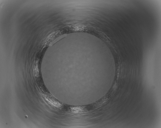 X0000086110516200703231505