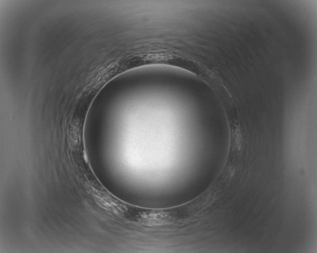 X0000086110517200703231505