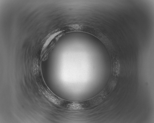 X0000086110518200703231505
