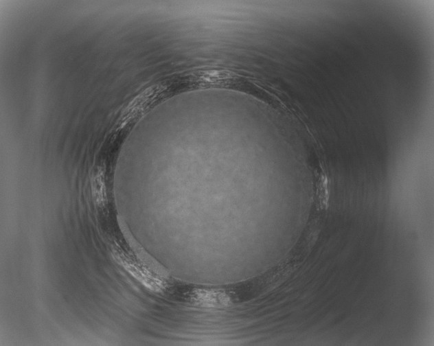 X0000086110520200703231505