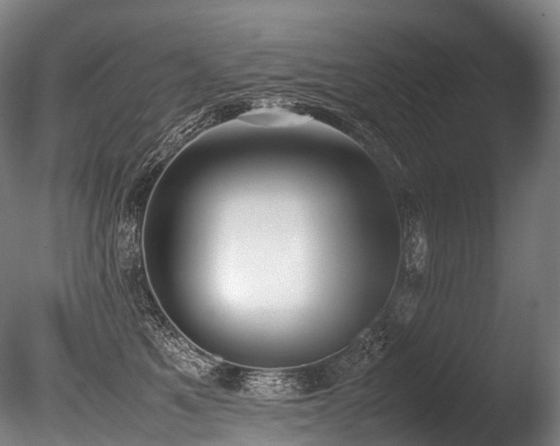 X0000086110521200703231505