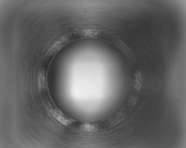 X0000086110522200703231505