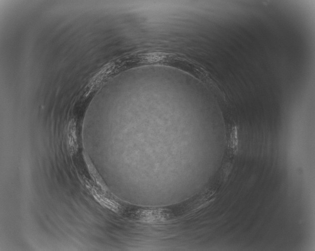 X0000086110524200703231504
