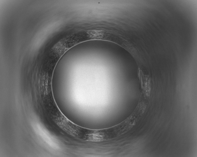 X0000086110525200703231504