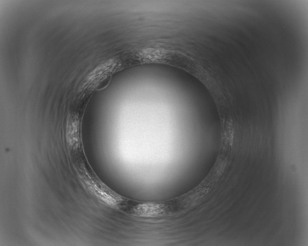 X0000086110526200703231504