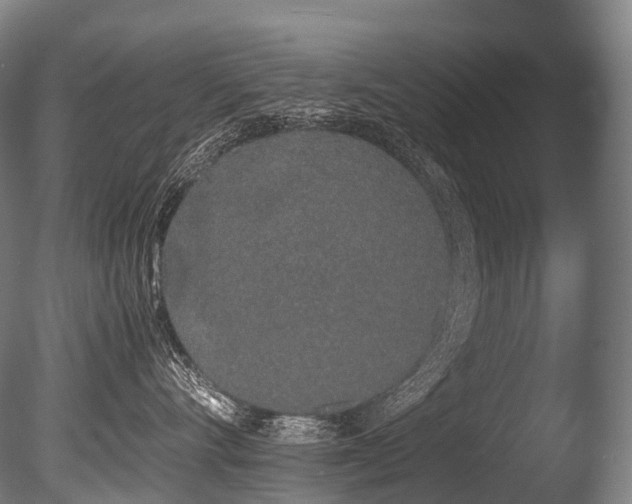 X0000086110528200703231504