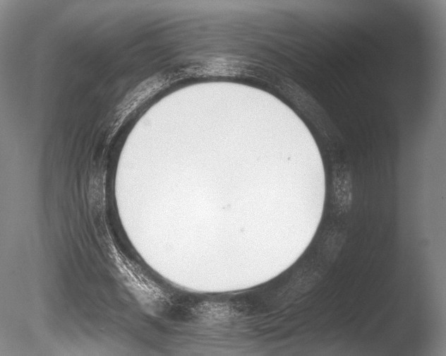 X0000086110534200703231504