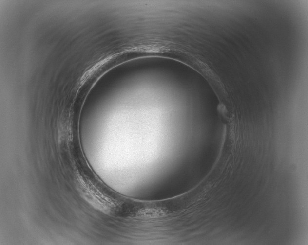 X0000086110536200703231504