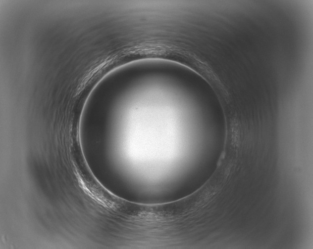 X0000086110538200703231504