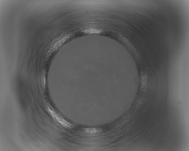 X0000086110541200703231504