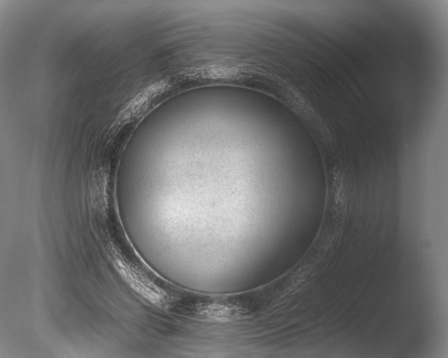 X0000086110542200703231504