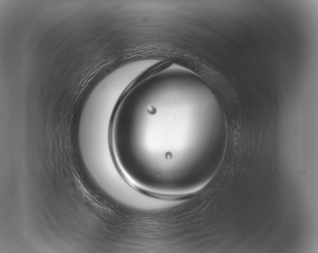 X0000086110546200703231504