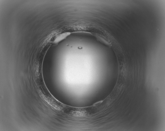 X0000086110548200703231504
