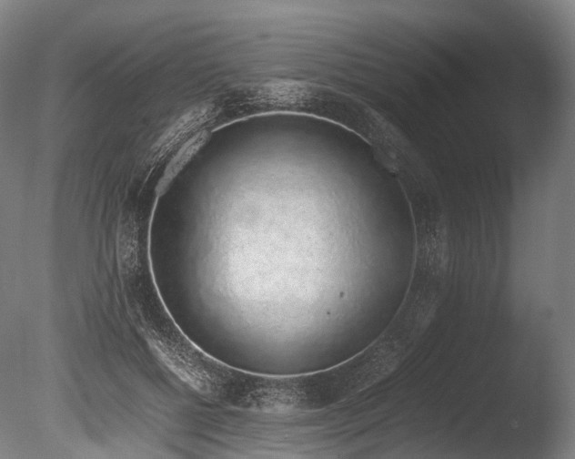 X0000086110552200703231504