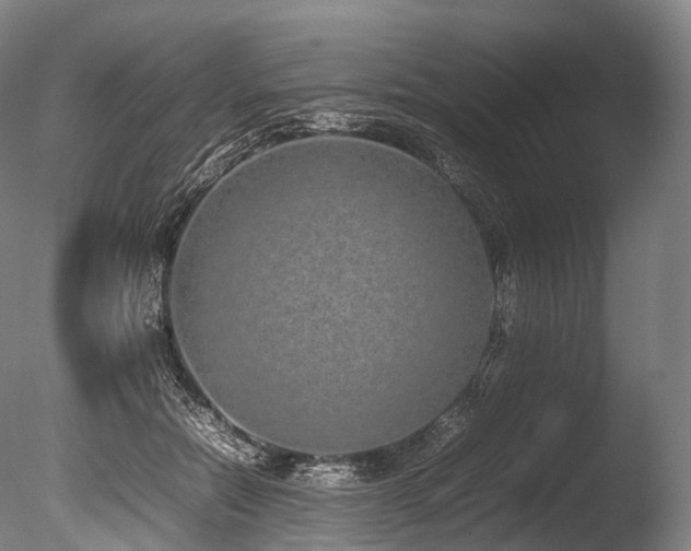 X0000086110554200703231504